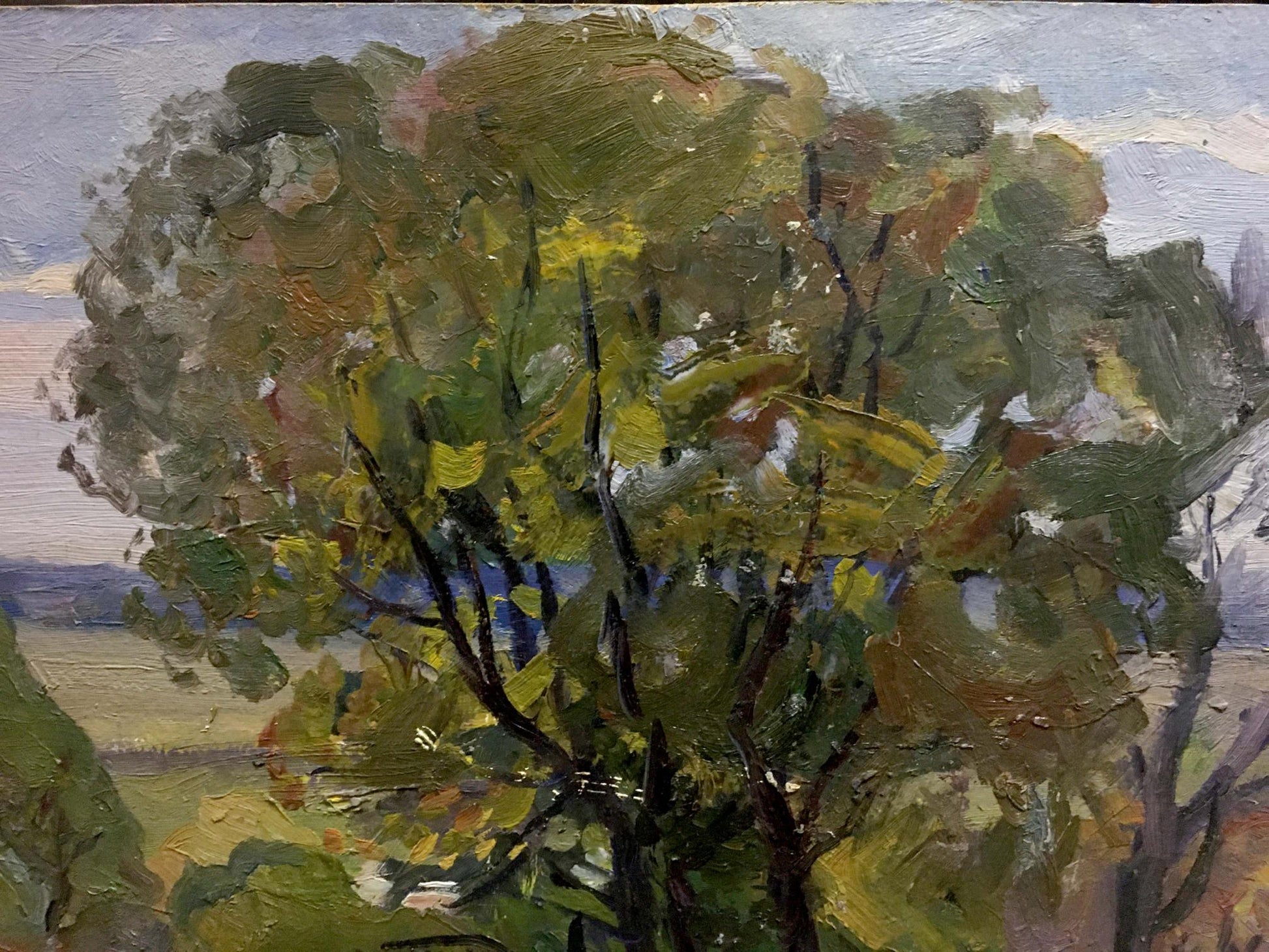 Oil painting of old big tree by unknown artist, lush impressionistic foliage