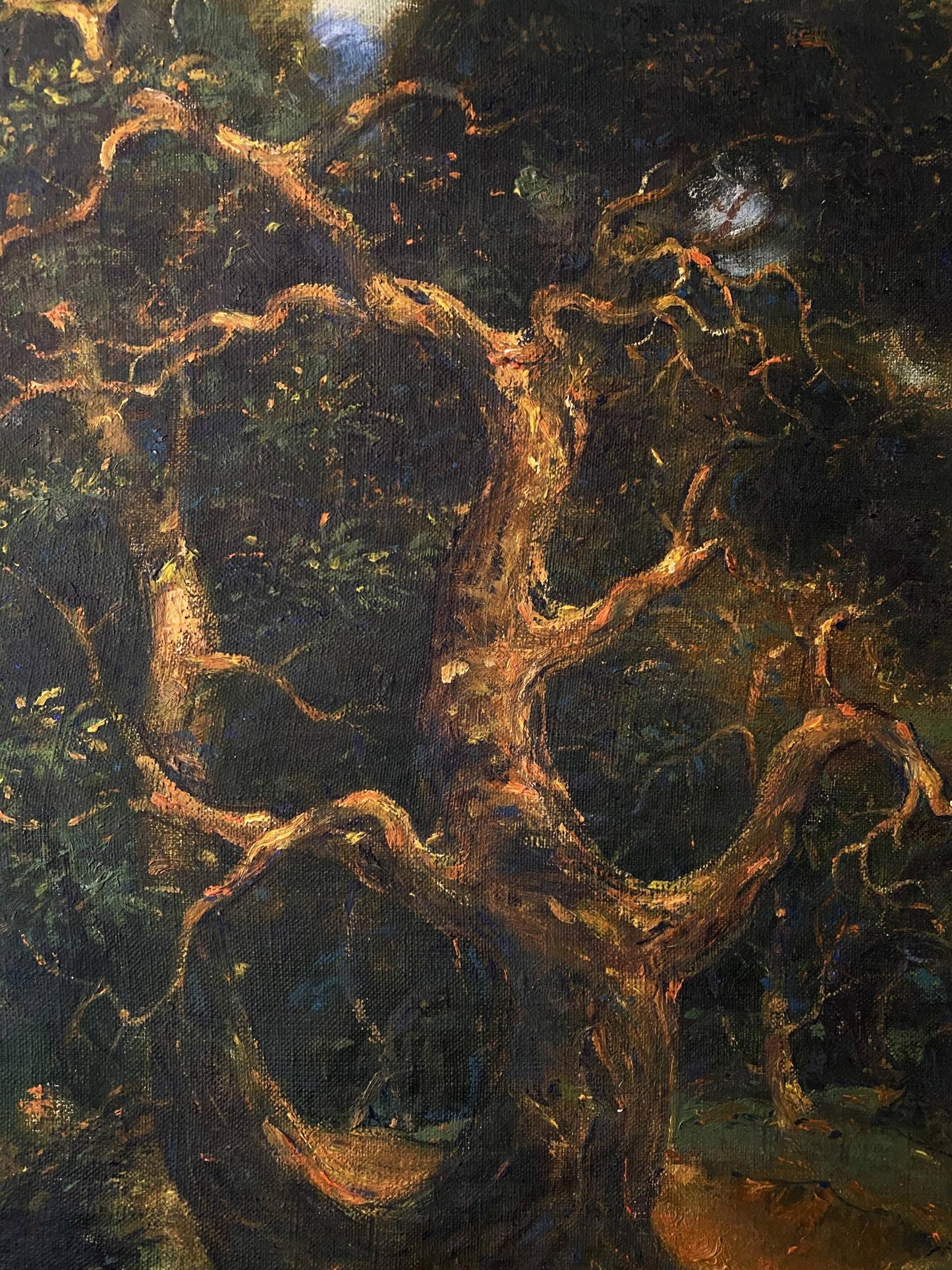 Oil painting by Windy Litvinov Oleg Arkadyevich: gnarled tree in shadowy forest
