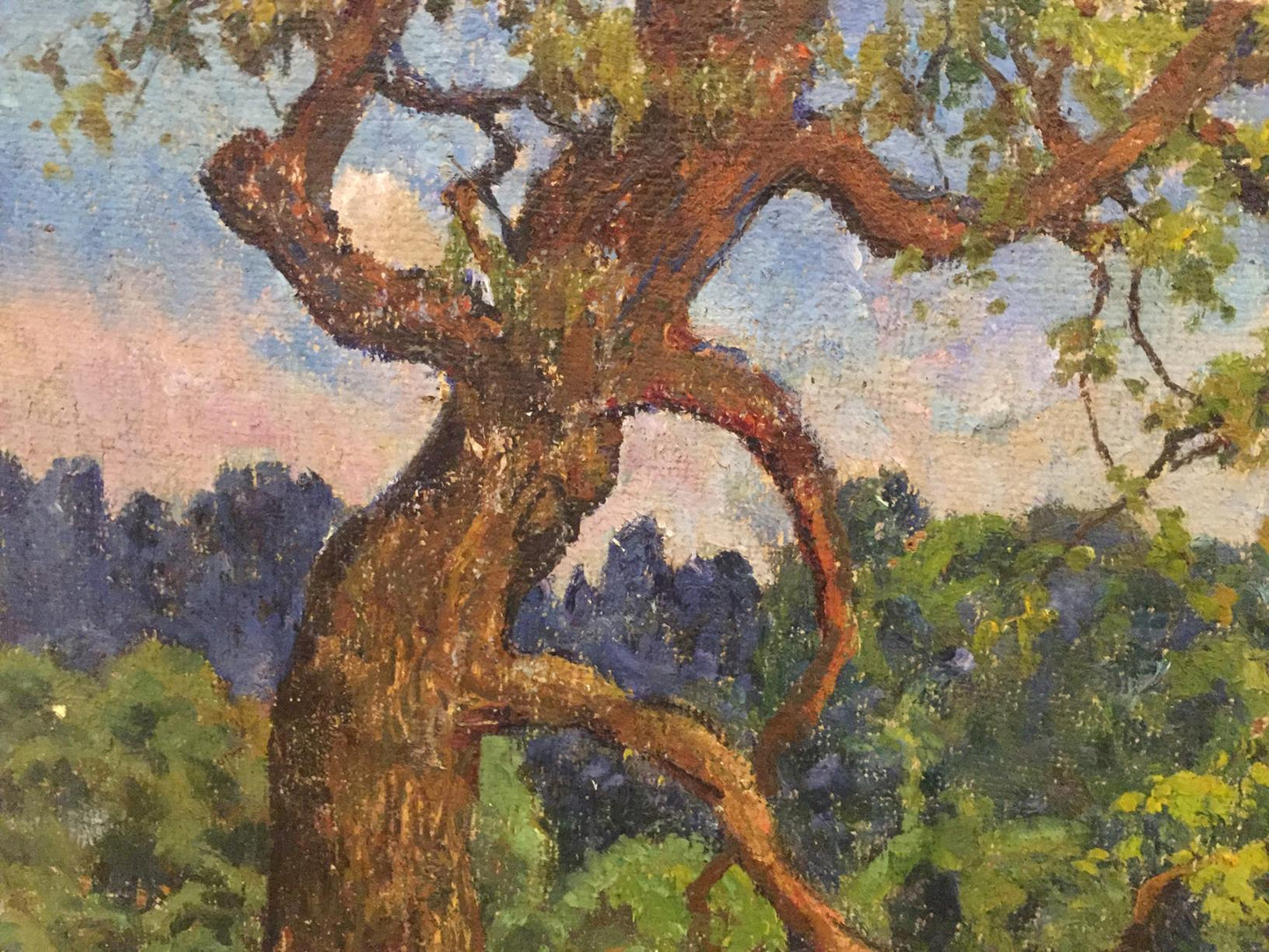Oil painting Summer park: textured brown tree trunk with gnarled branches and green foliage on blue sky