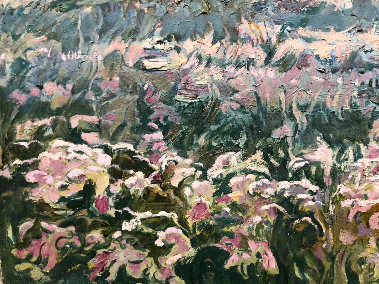 Vibrant impressionist oil painting by Sambur Arkady Gesejonovich of pink flowers