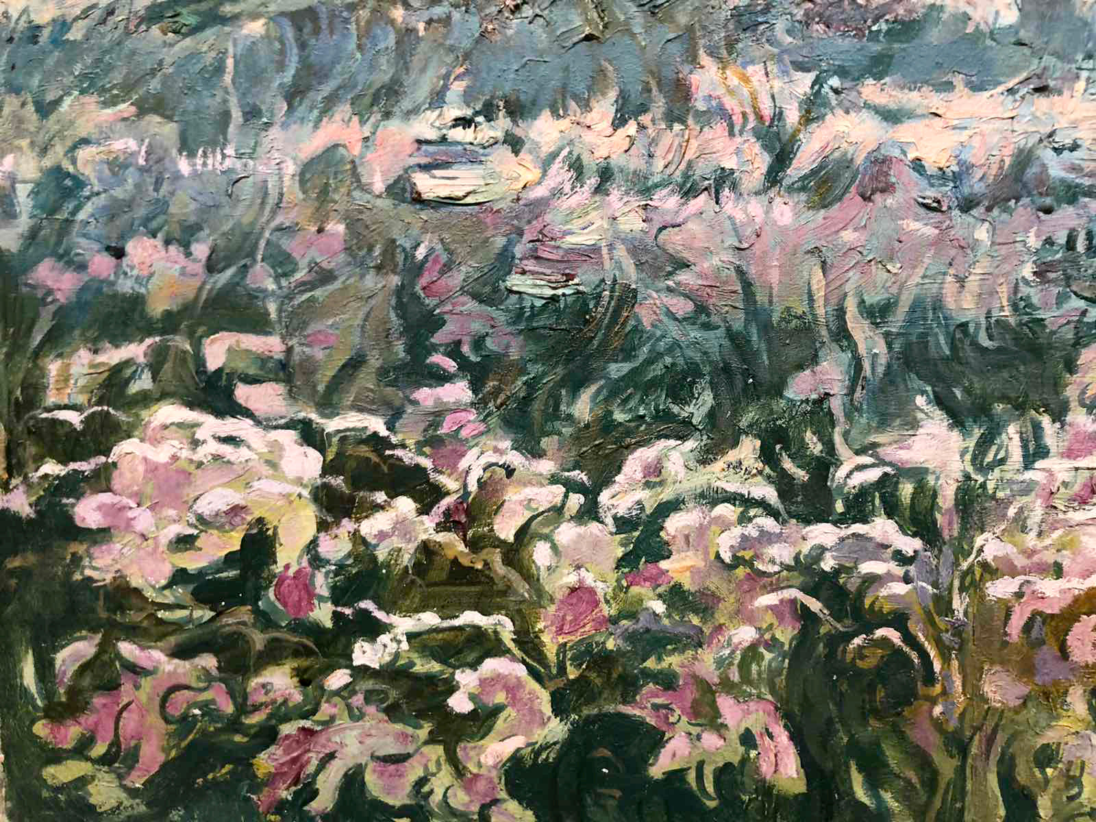 Vibrant impressionist oil painting by Sambur Arkady Gesejonovich of pink flowers