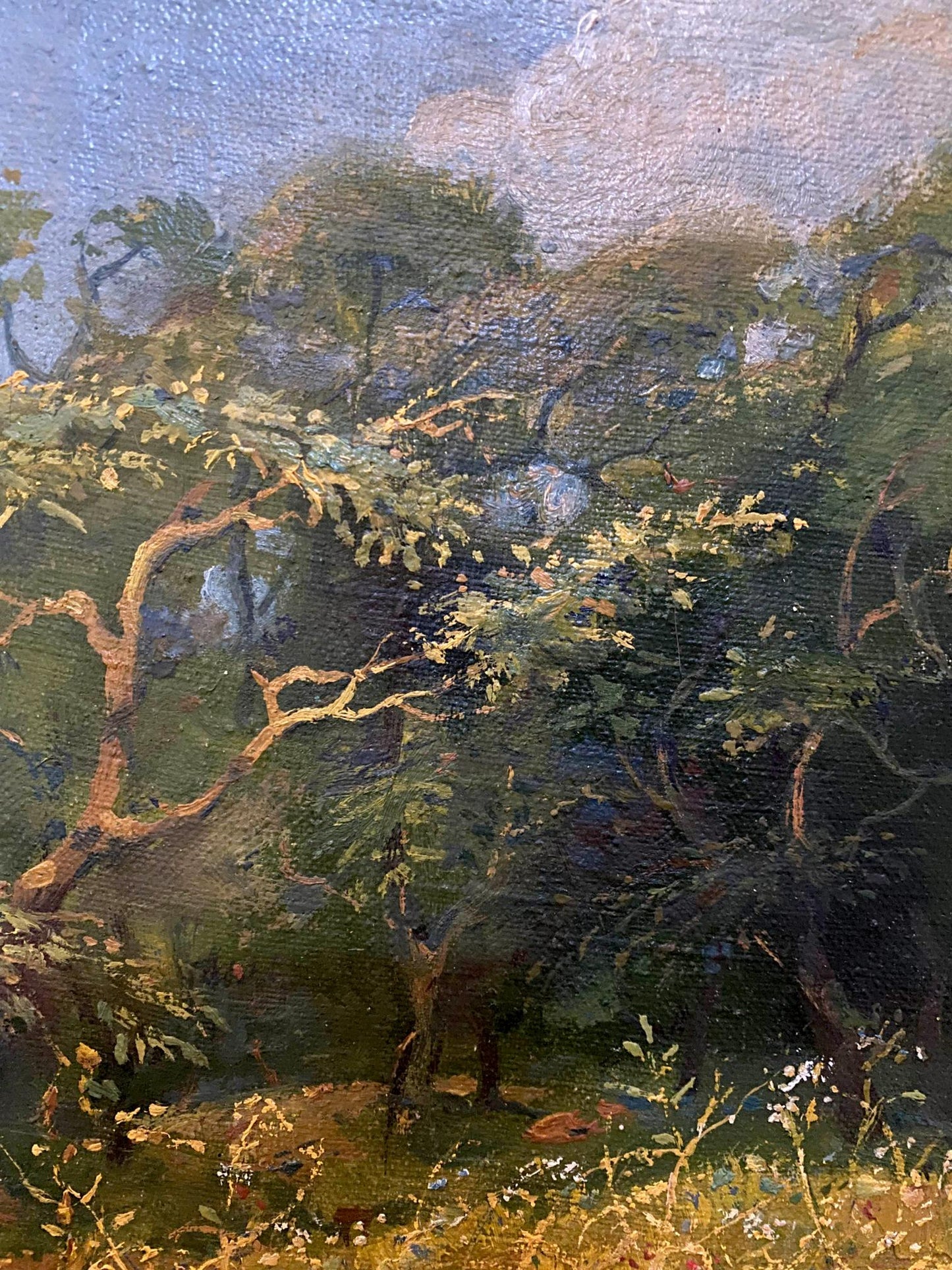 Oil painting by July Litvinov Oleg Arkad’yevich: dense forest scene