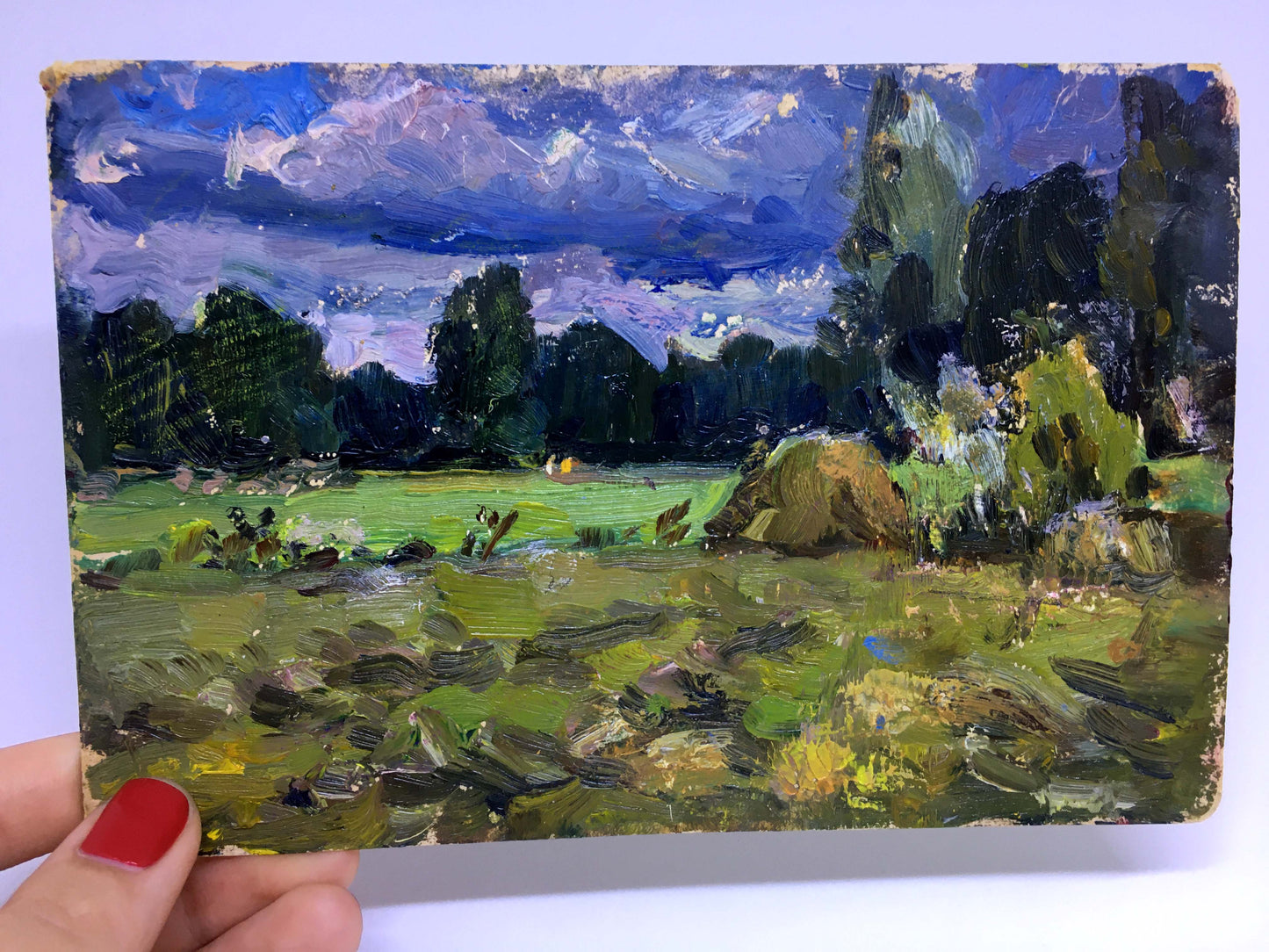 Oil painting Before the Rain by Popov I.A.: lush green field under dramatic sky