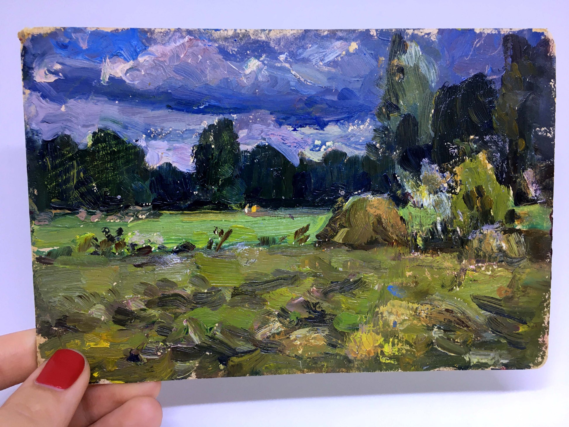 Oil painting Before the Rain by Popov I.A.: lush green field under dramatic sky