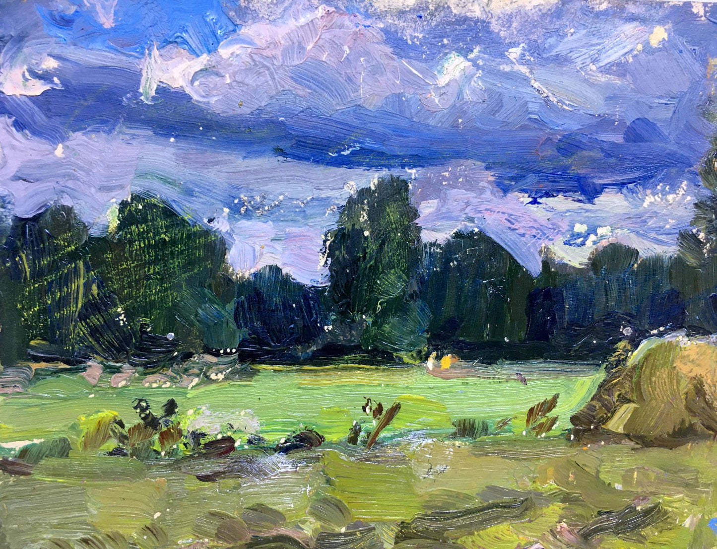 Oil painting Before the Rain by Popov I.A. impressionist field under dynamic sky