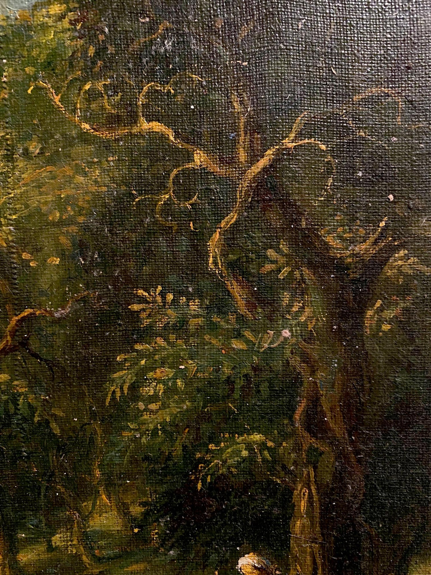 Oil painting Hot day in the forest by Oleg Litvinov, gnarled tree