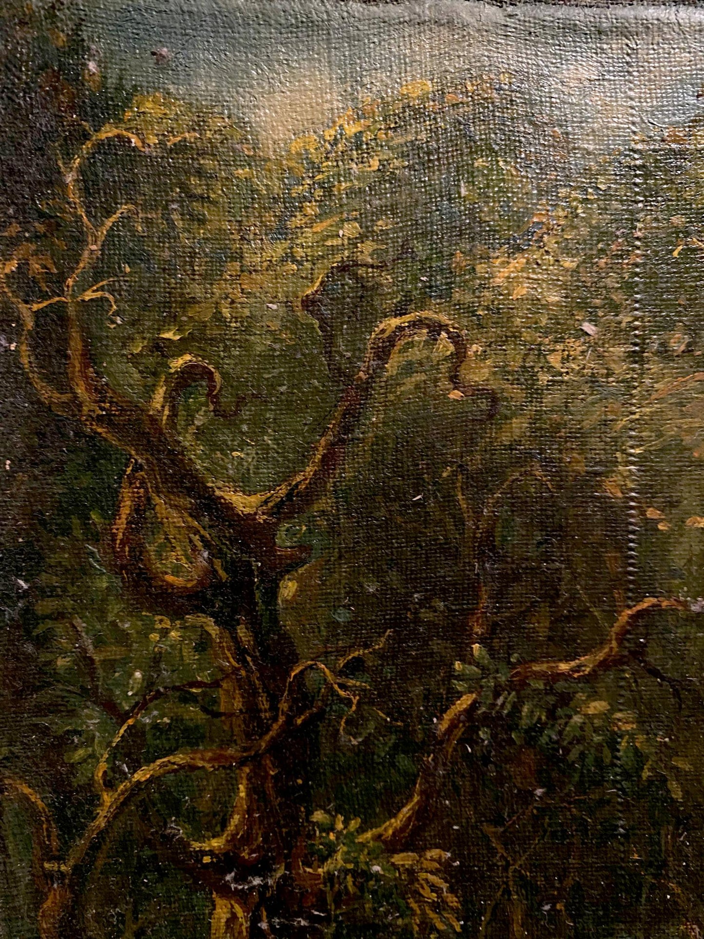 Oil painting Hot day in the forest by Oleg Litvinov, twisted tree