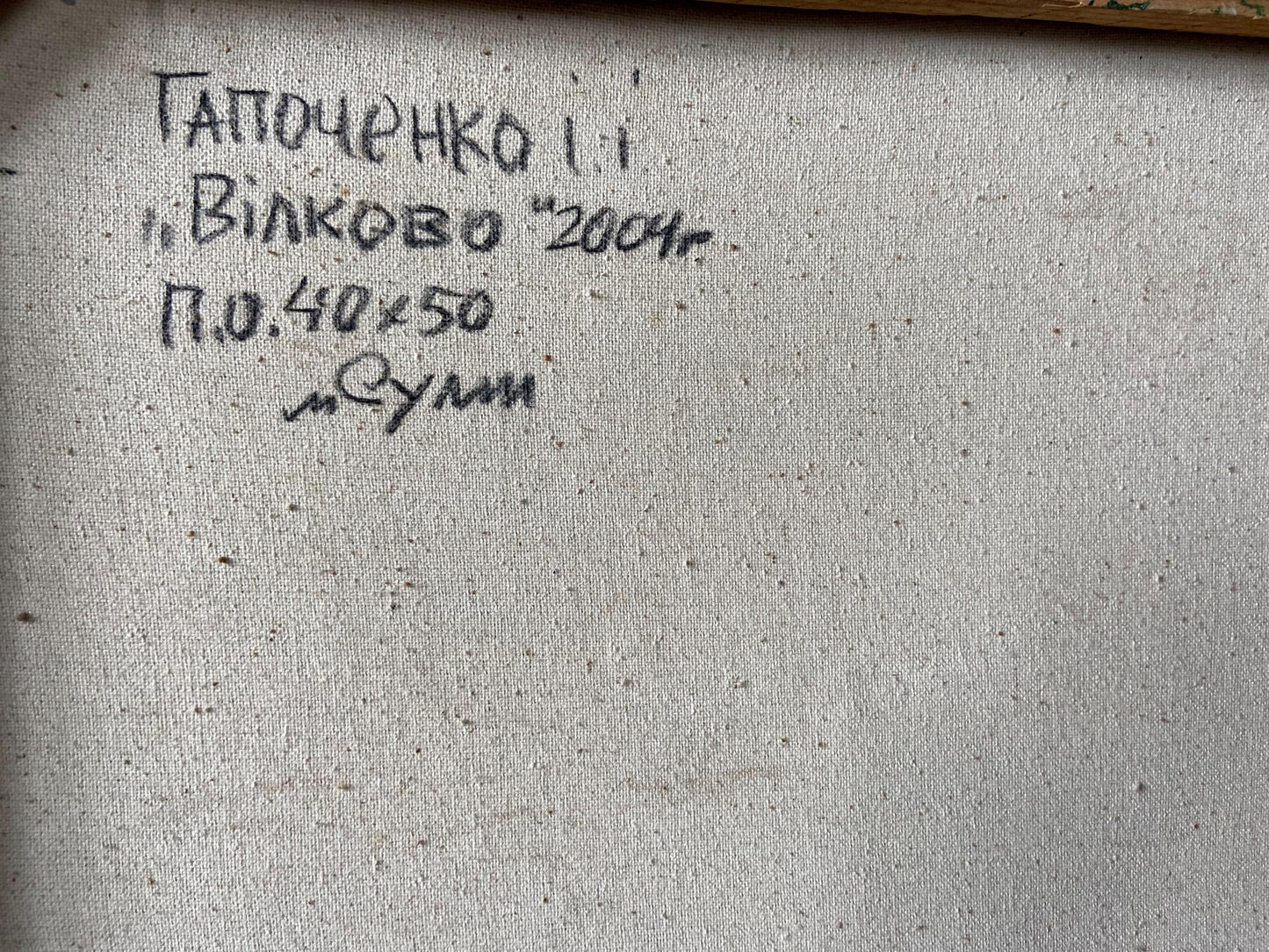 Back of oil painting Vilkovo by Gaponchenko Ivan Ivanovich, Tapychenko 2004 40x50