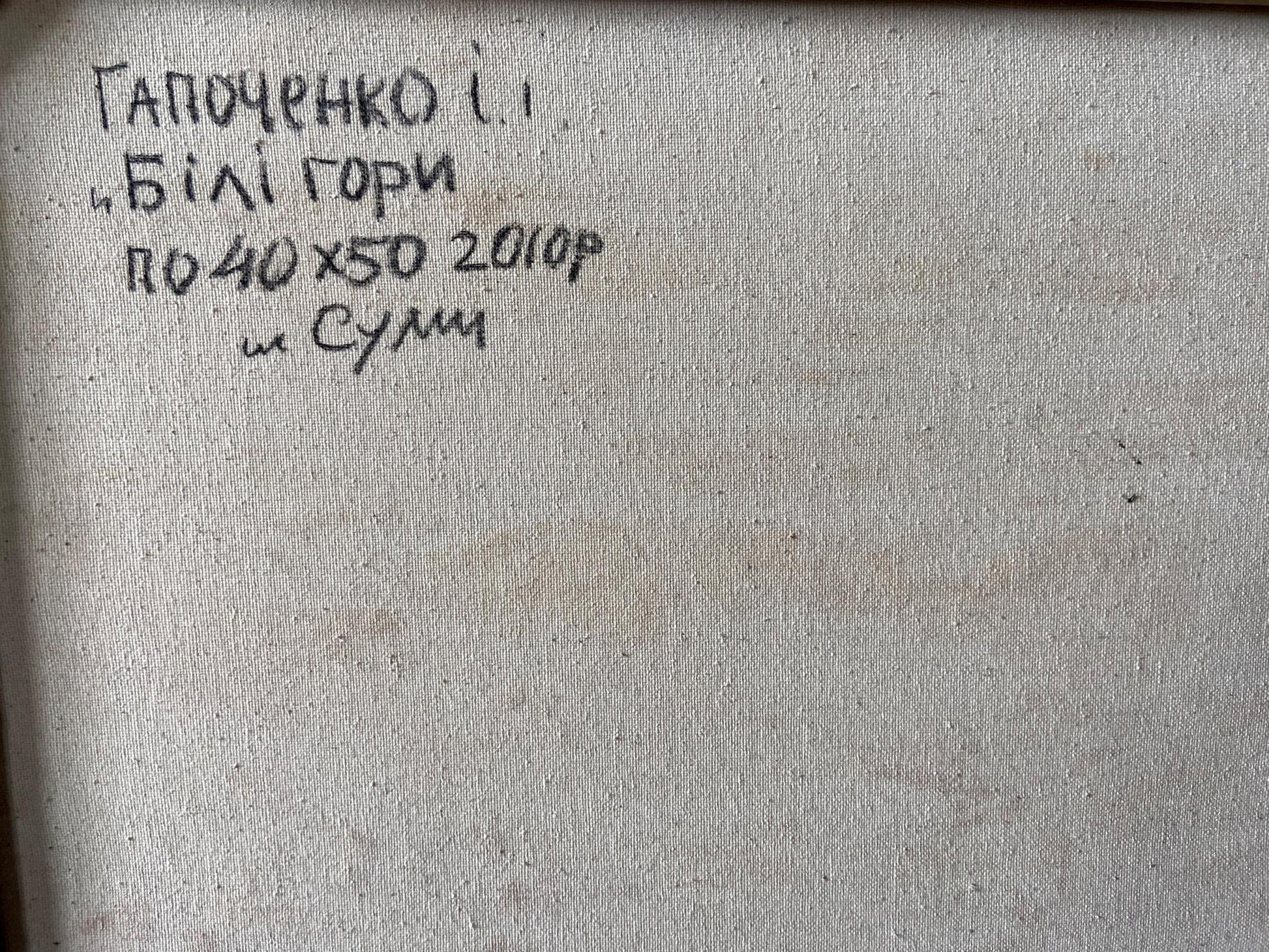 Back of Oil painting White mountains Gaponchenko Ivan Ivanovich: gray canvas with Ukrainian inscription