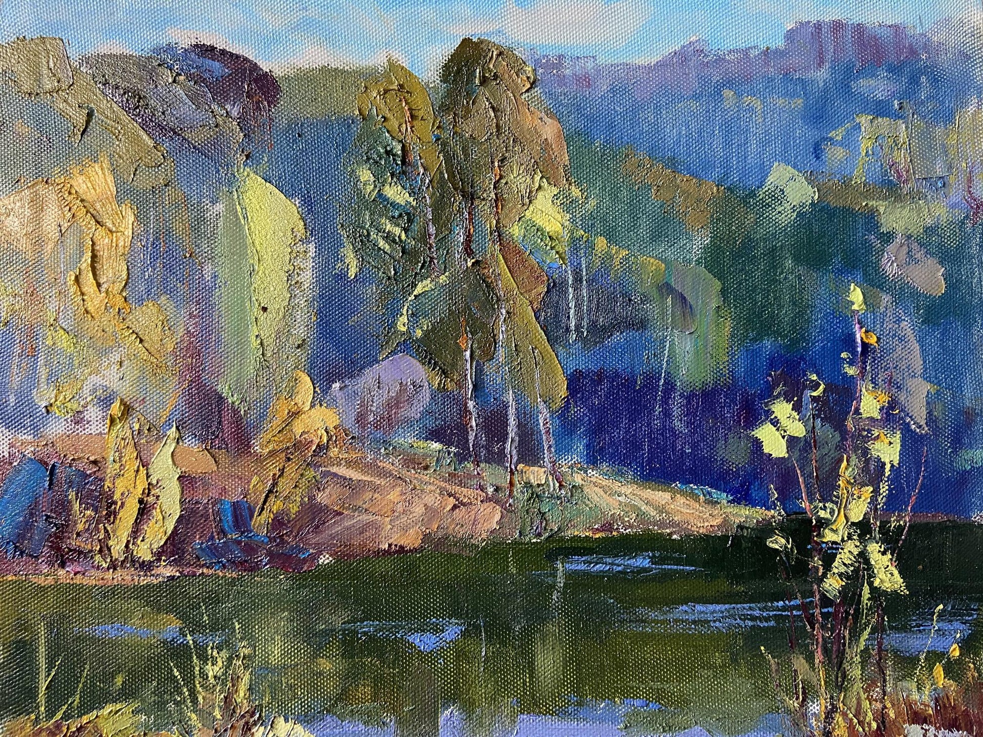 Impressionistic oil painting Not a boring summer by Gaponchenko Ivan Ivanovich