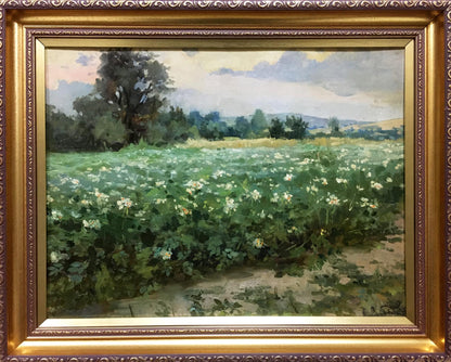 Oil painting Plantation: lush green field with white flowers under cloudy sky