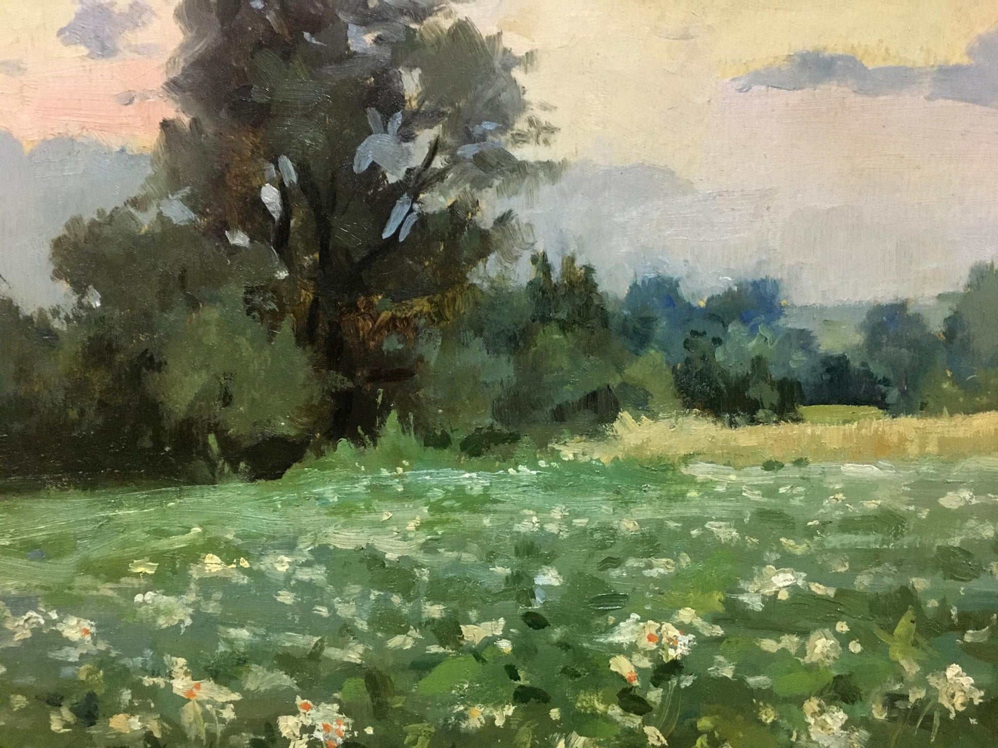 Oil painting Plantation: sunlit field with white pink flowers hazy sky