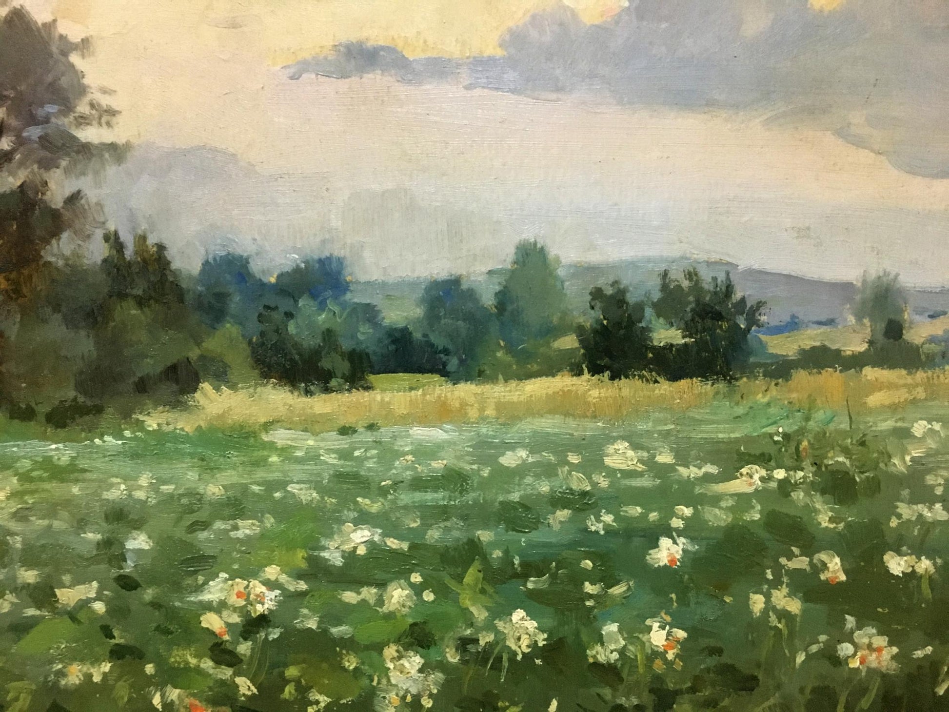 Oil painting Plantation: sunlit field of white pink wildflowers in green foliage