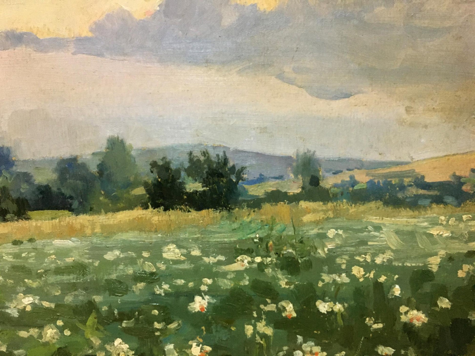 Serene Oil painting Plantation: sunlit white flower field under pale sky
