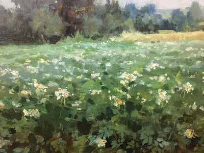 Vibrant impressionistic oil painting Plantation of white flowers field