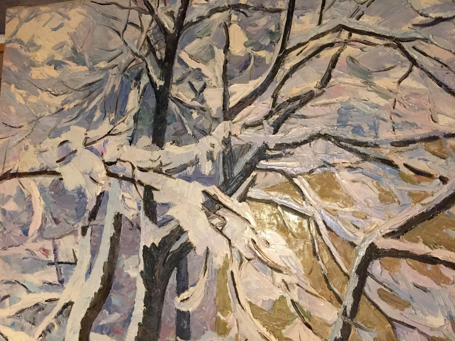 Oil painting Winter sketch by Sabadysh Petr Yevlampievich, abstract snow-laden branches