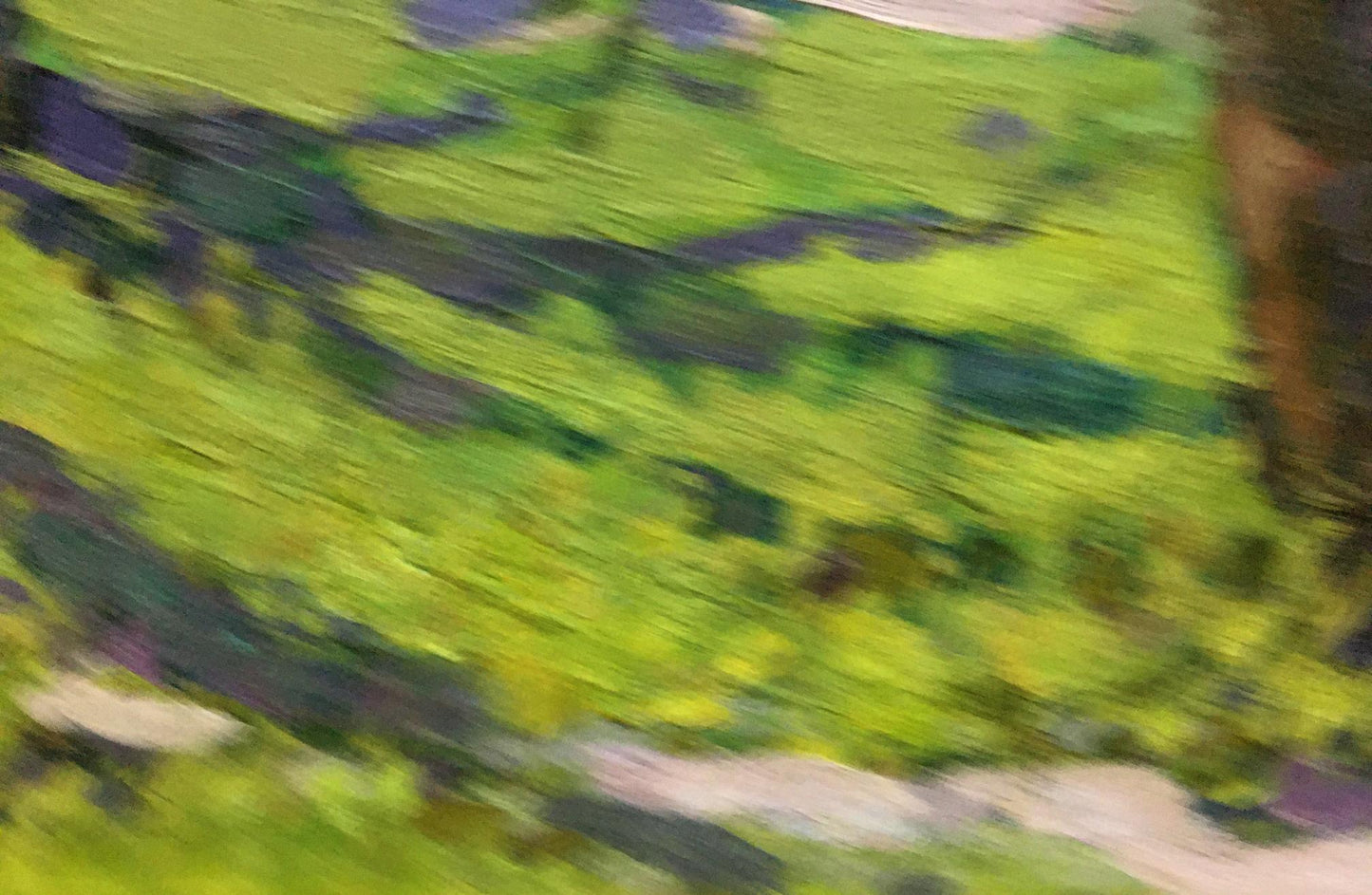 Vibrant green purple abstract oil painting of forest running path