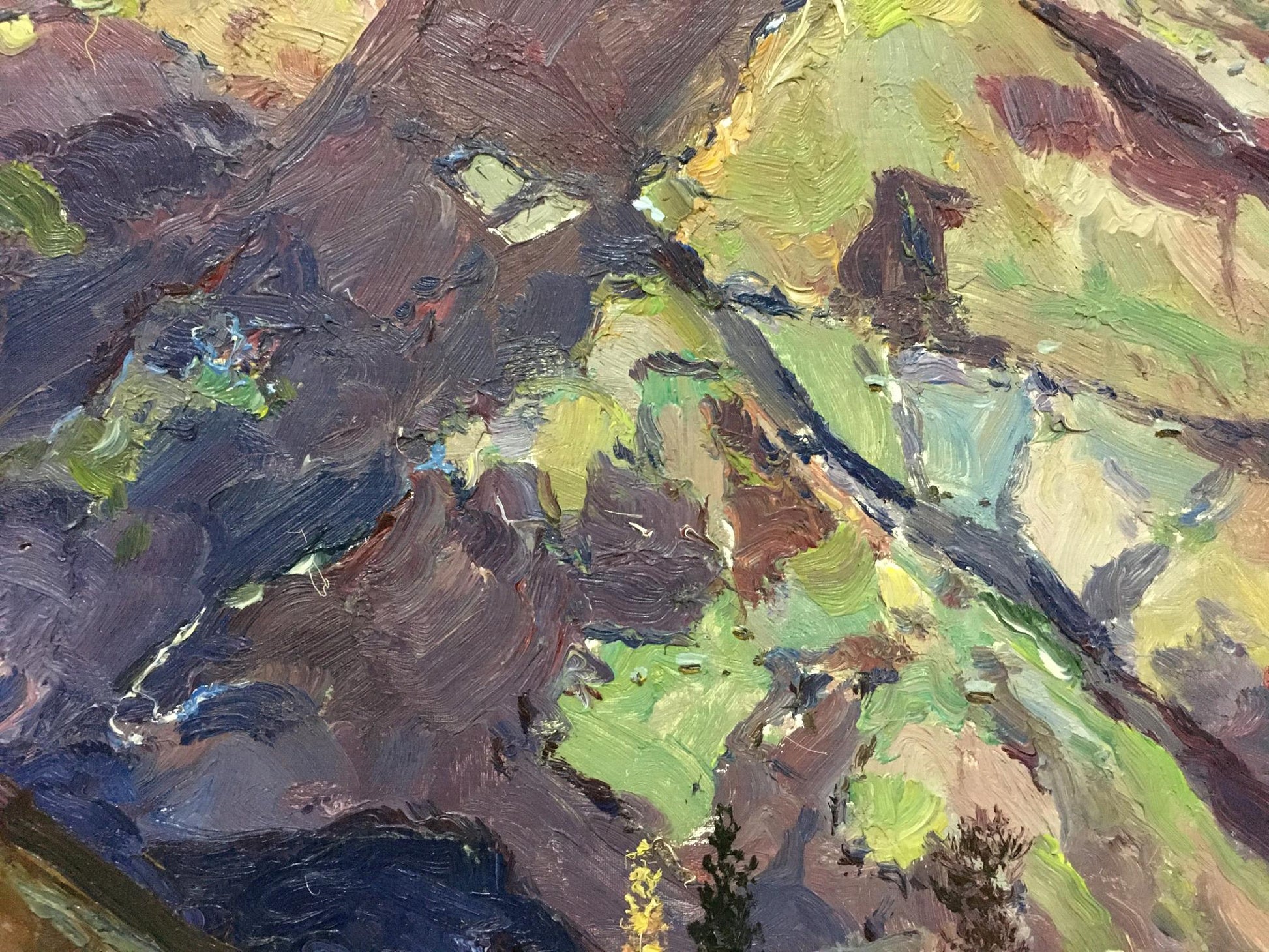 Oil painting The Mountains by Sidoruk Vladimir Fedorovich
