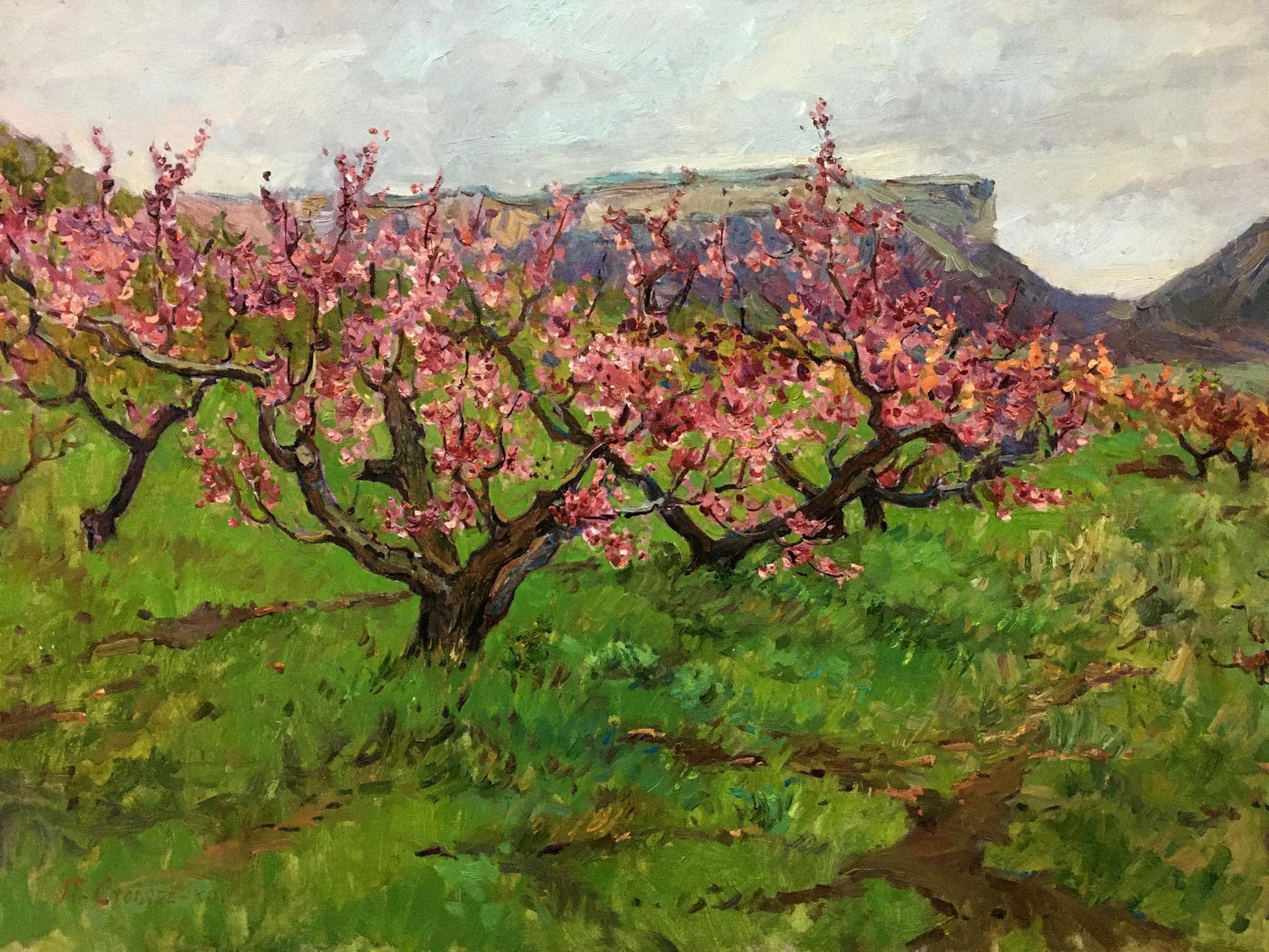 Vibrant oil painting of blooming peach trees by Petr Kuzmich Stolyarenko