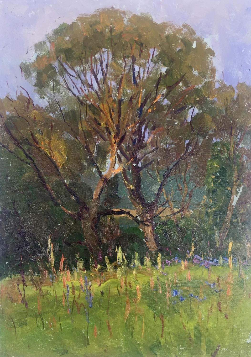 Oil painting of gnarled tree in forest grasses by Demeshah Y. A. Kolotsyup