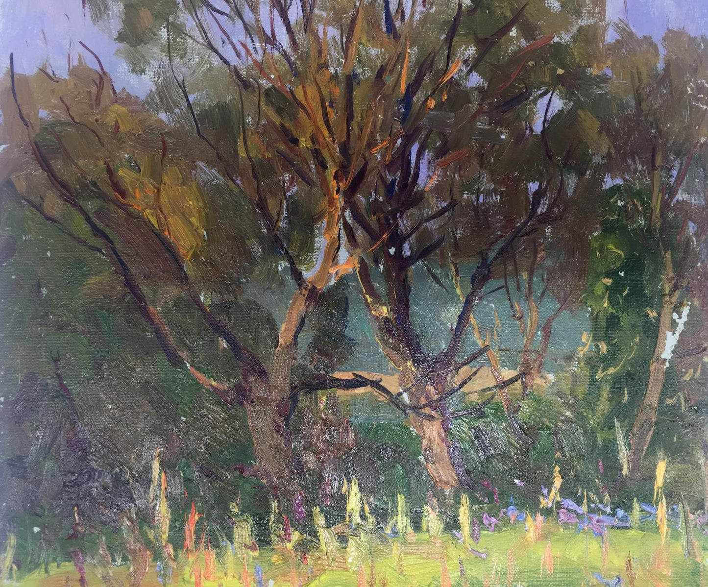 Textured oil painting of tall leafy forest tree by Demeshah Y. A. Kolotsyup