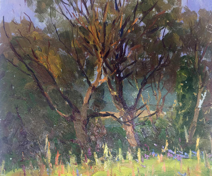 Textured oil painting of tall leafy forest tree by Demeshah Y. A. Kolotsyup