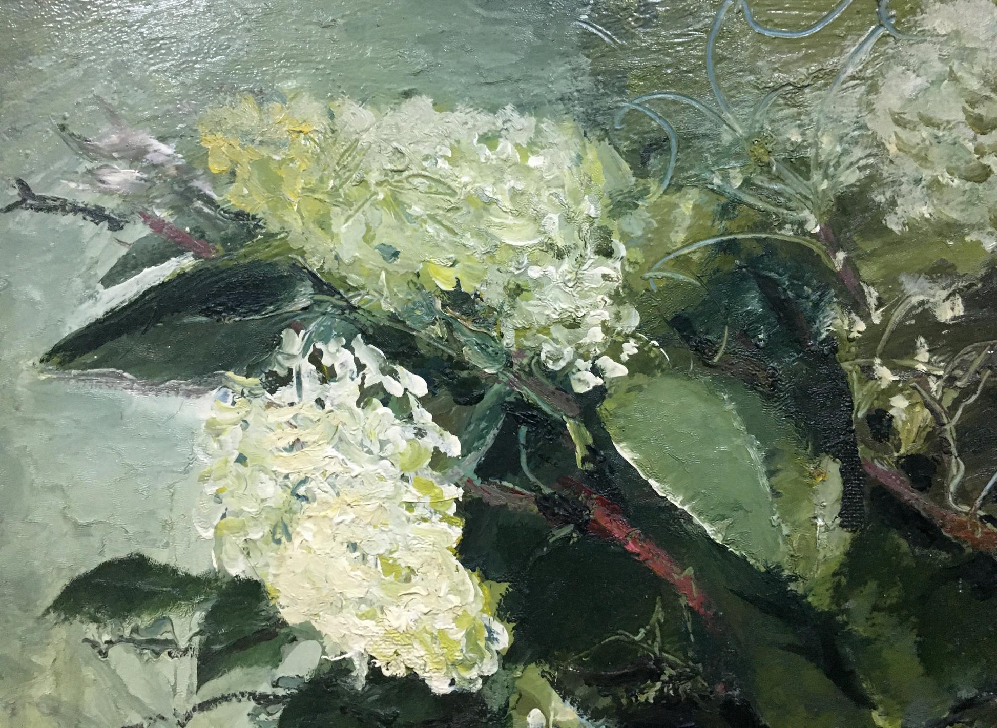 Textured oil painting of white hydrangeas by Afanasyev Vladimir Ilyich