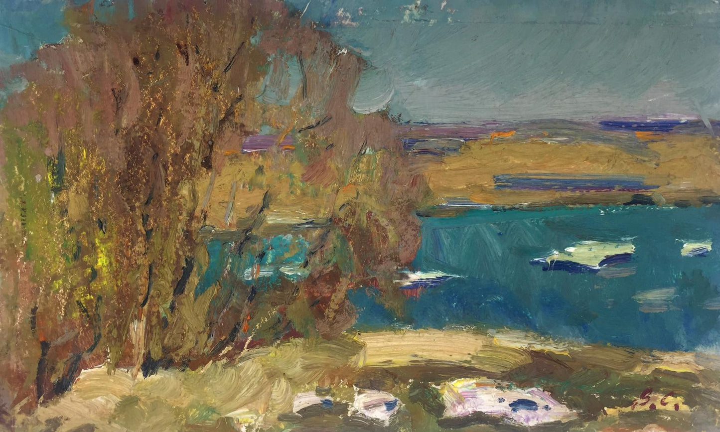 Oil painting River by Viktor Grigoryevich Sevastyanov, impressionistic coastal scene