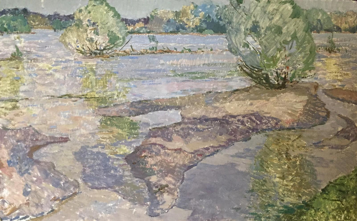 Oil painting by Sevastyanov Viktor Grigorievich: flooded landscape