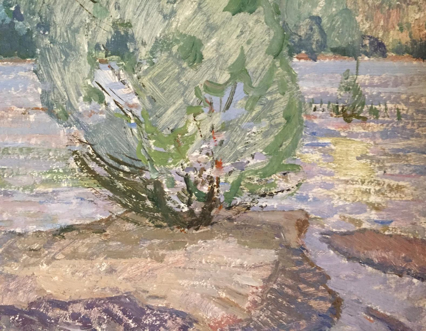 Oil painting Flooding by Sevastyanov Viktor Grigorievich, lush green bush