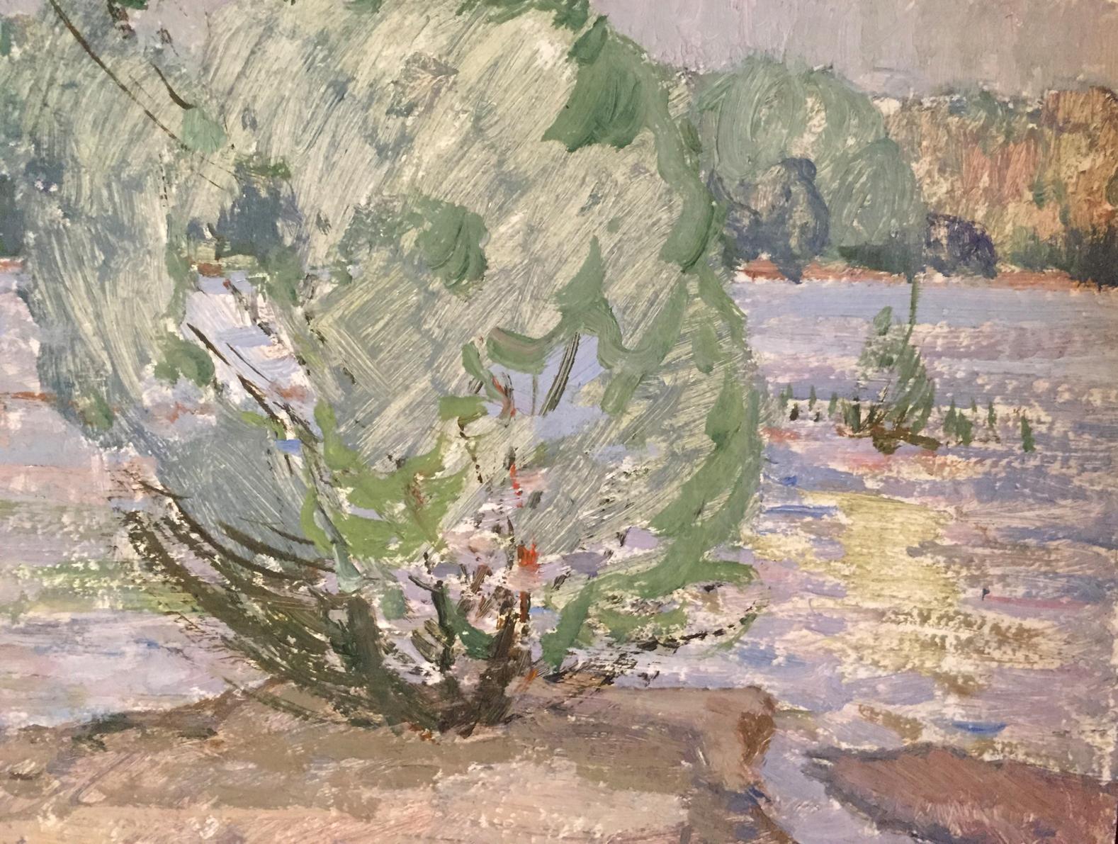 Impressionistic oil painting by Sevastyanov Viktor Grigorievich: lush bush by water