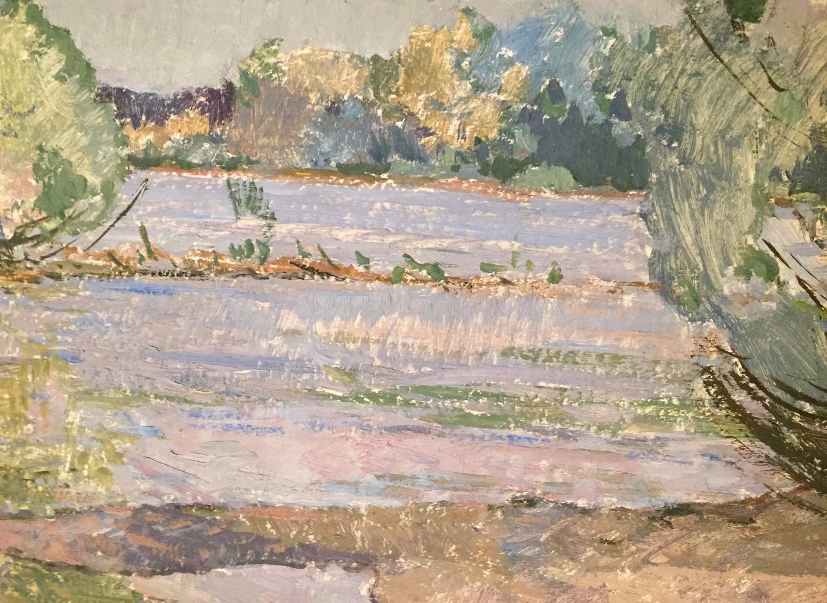 Textured impressionist oil painting Flooding by Sevastyanov Viktor Grigorievich
