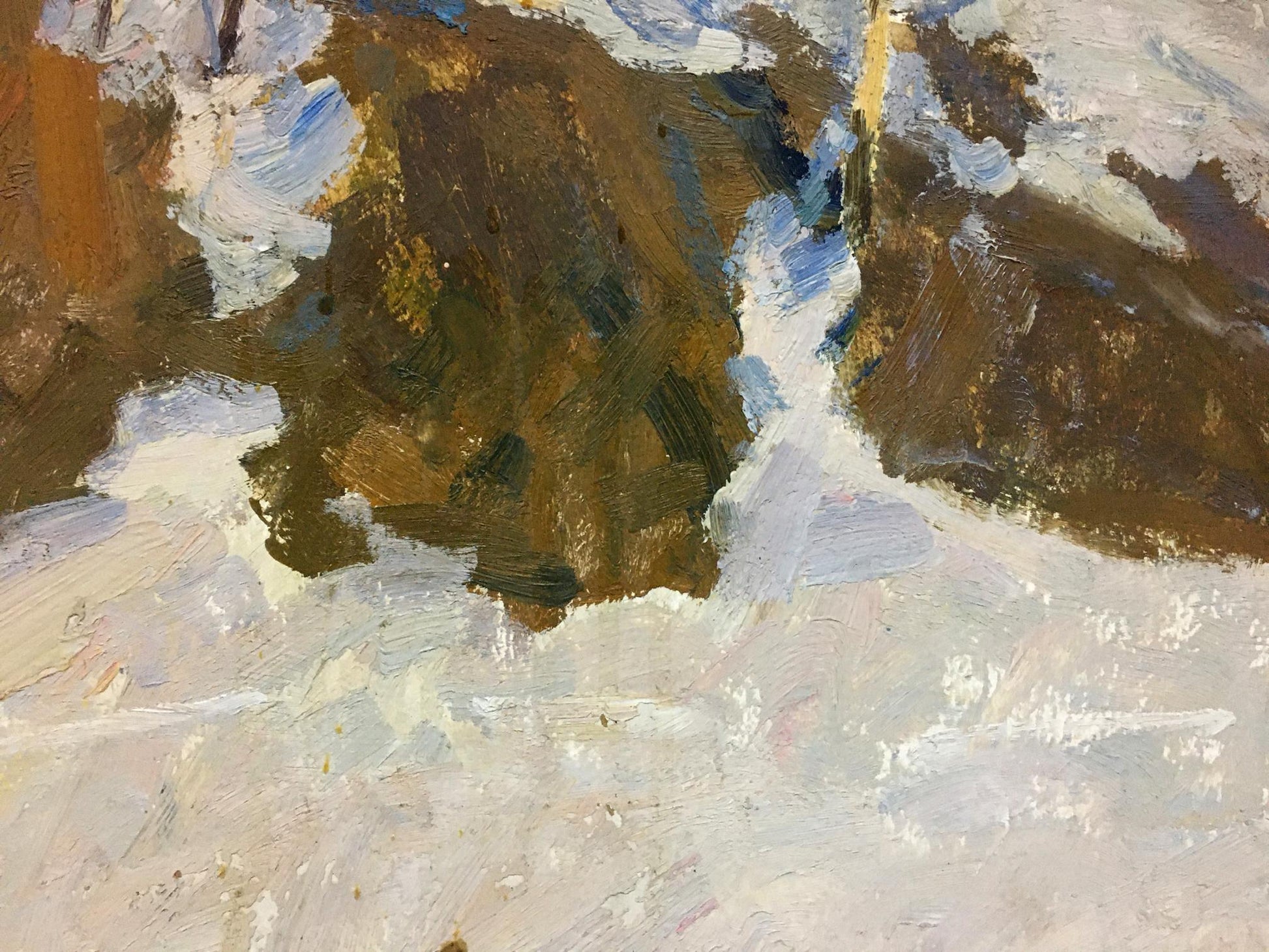 Oil painting Sunny winter by Petrashevsky Stanislav Vasilievich
