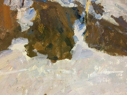 Oil painting Sunny winter by Petrashevsky Stanislav Vasilievich