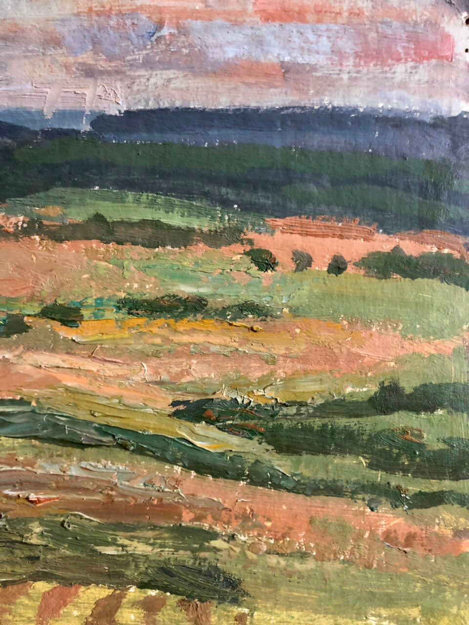 Oil painting Meadows by Ryzhykh Viktor impressionistic landscape
