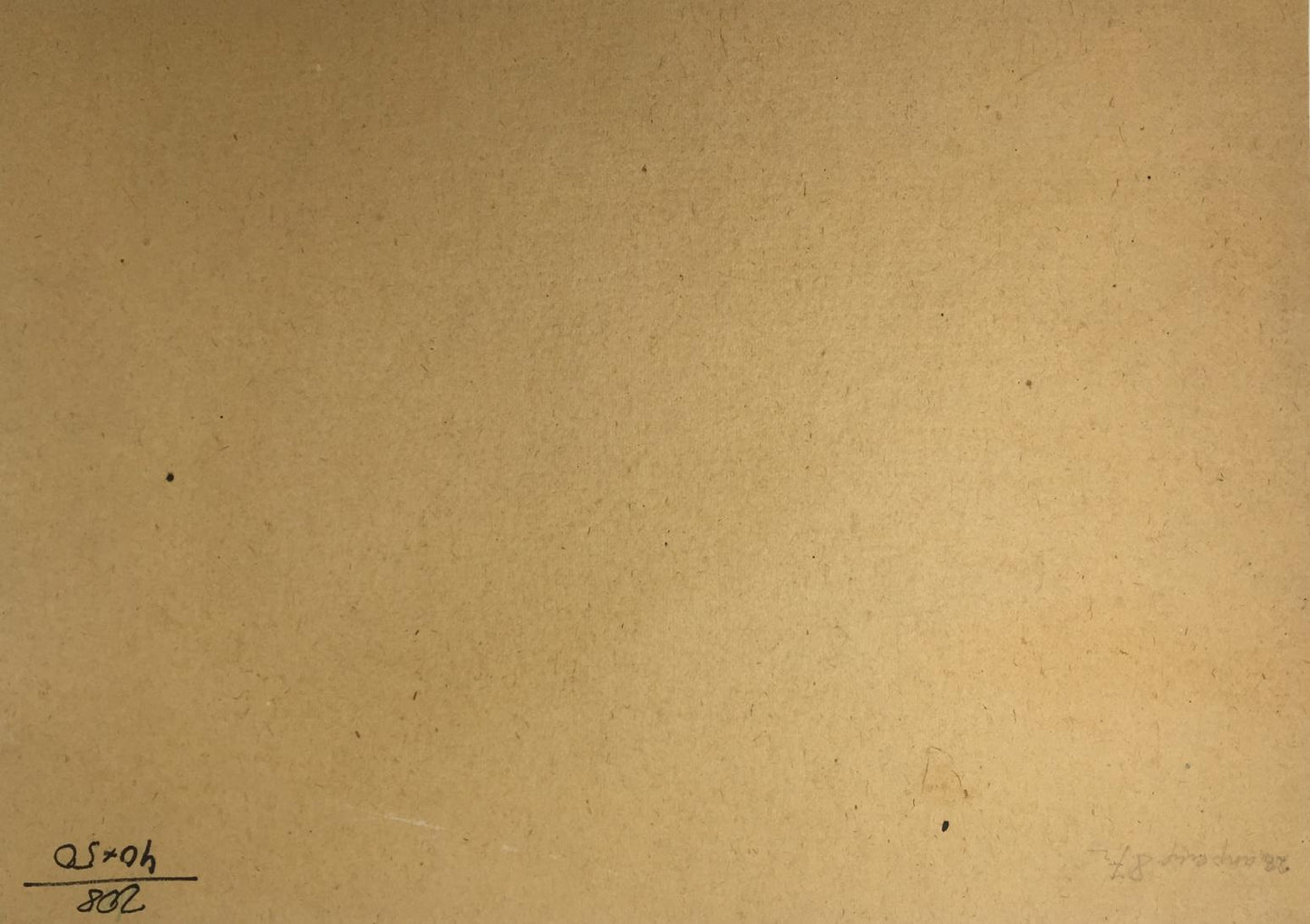 Back of original oil painting Forest swamp on beige textured paper