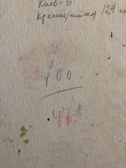 Handwritten notes in blue red ink on back of Oil painting Meadows Ryzhykh Viktor