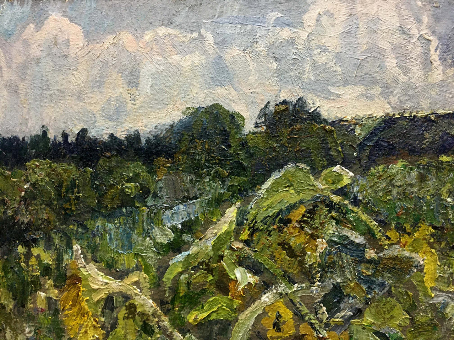 Oil painting of sunflower field by Zvyagintsev Rostislav Mikhailovich