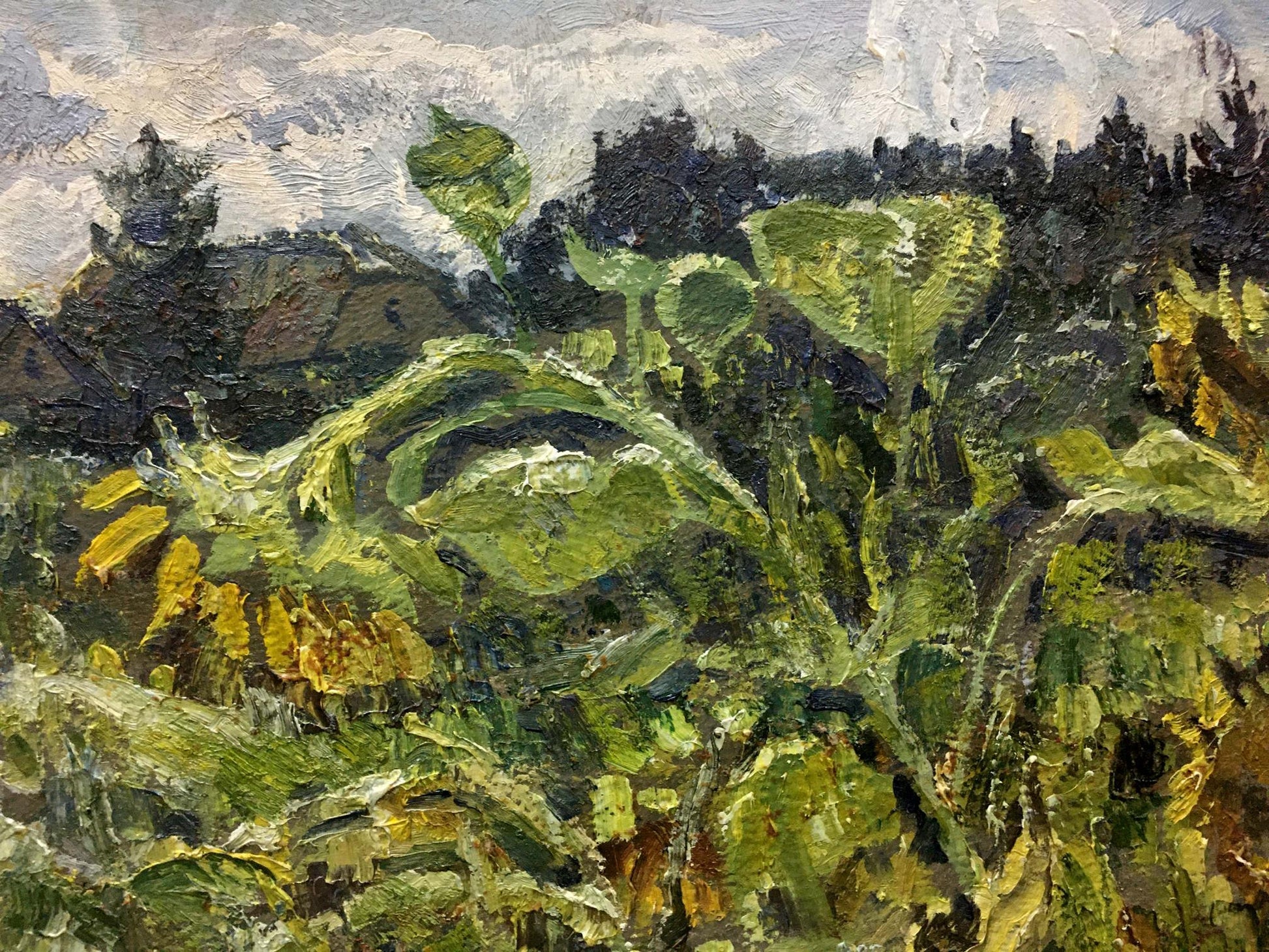 Textured oil painting of sunflower field by Zvyagintsev Rostislav Mikhailovich