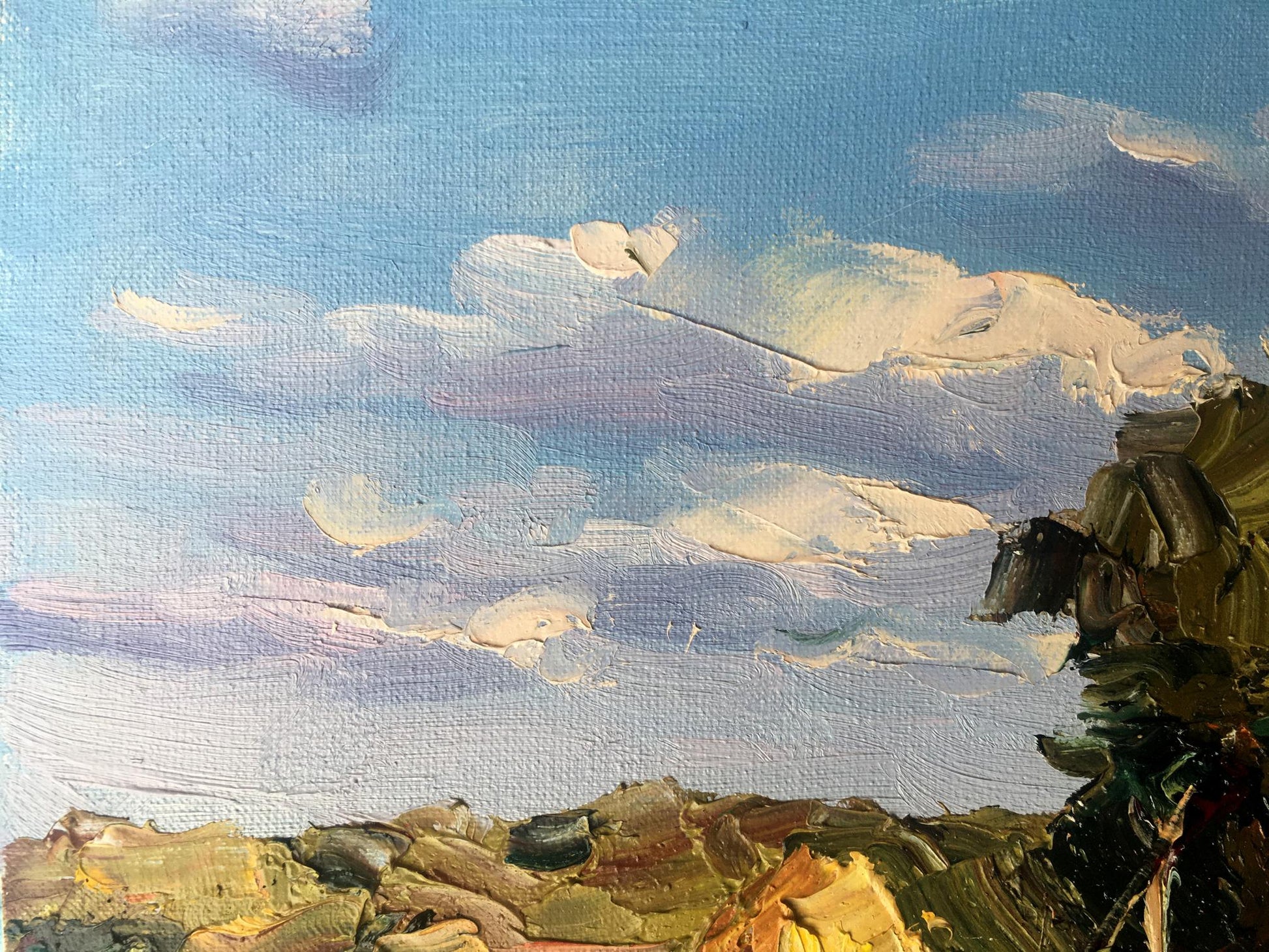 Oil Painting Evening Nature Landscape 
