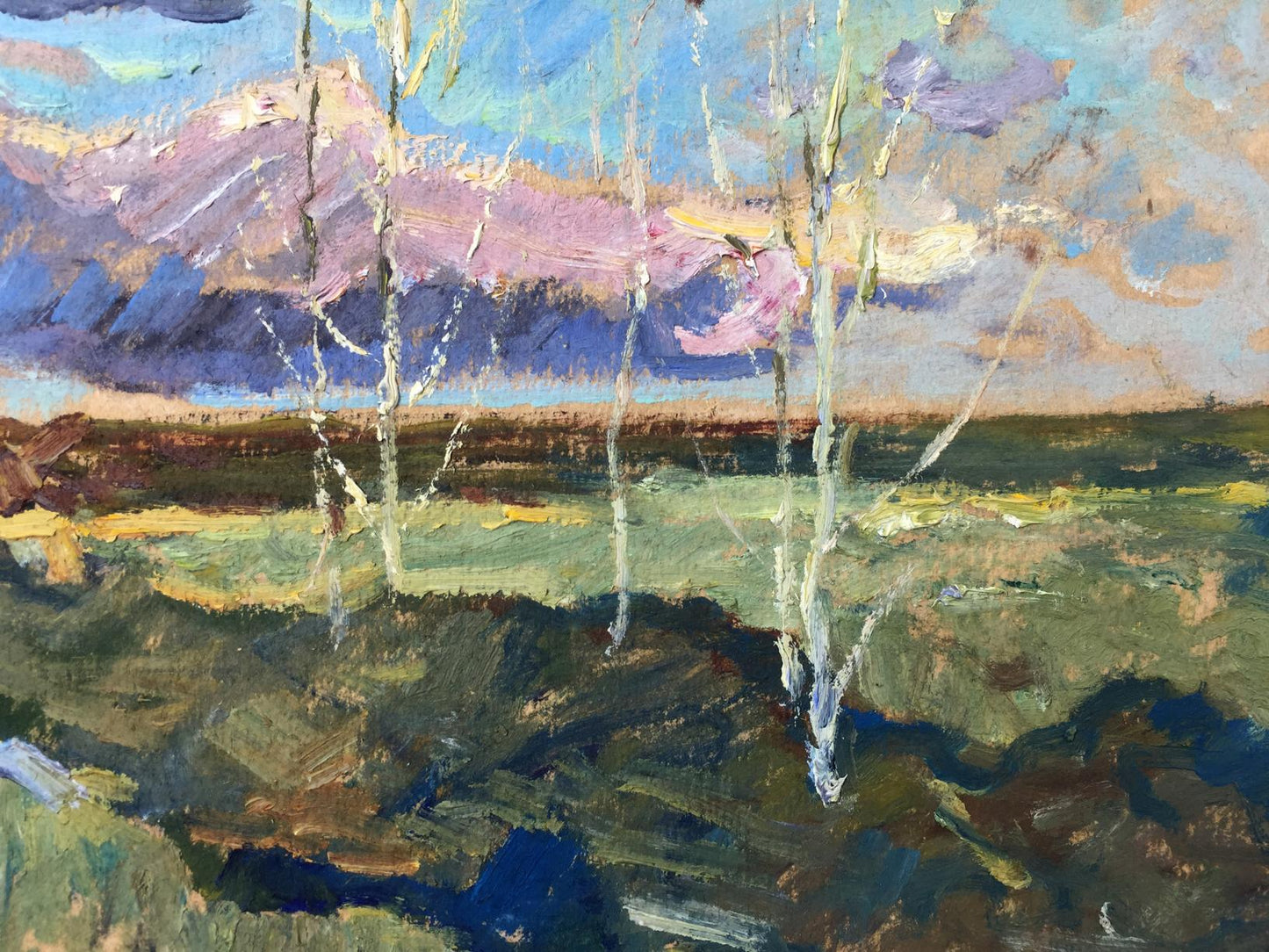 Oil painting Meadows by Sevastyanov Viktor Grigoryevich, birch trees landscape