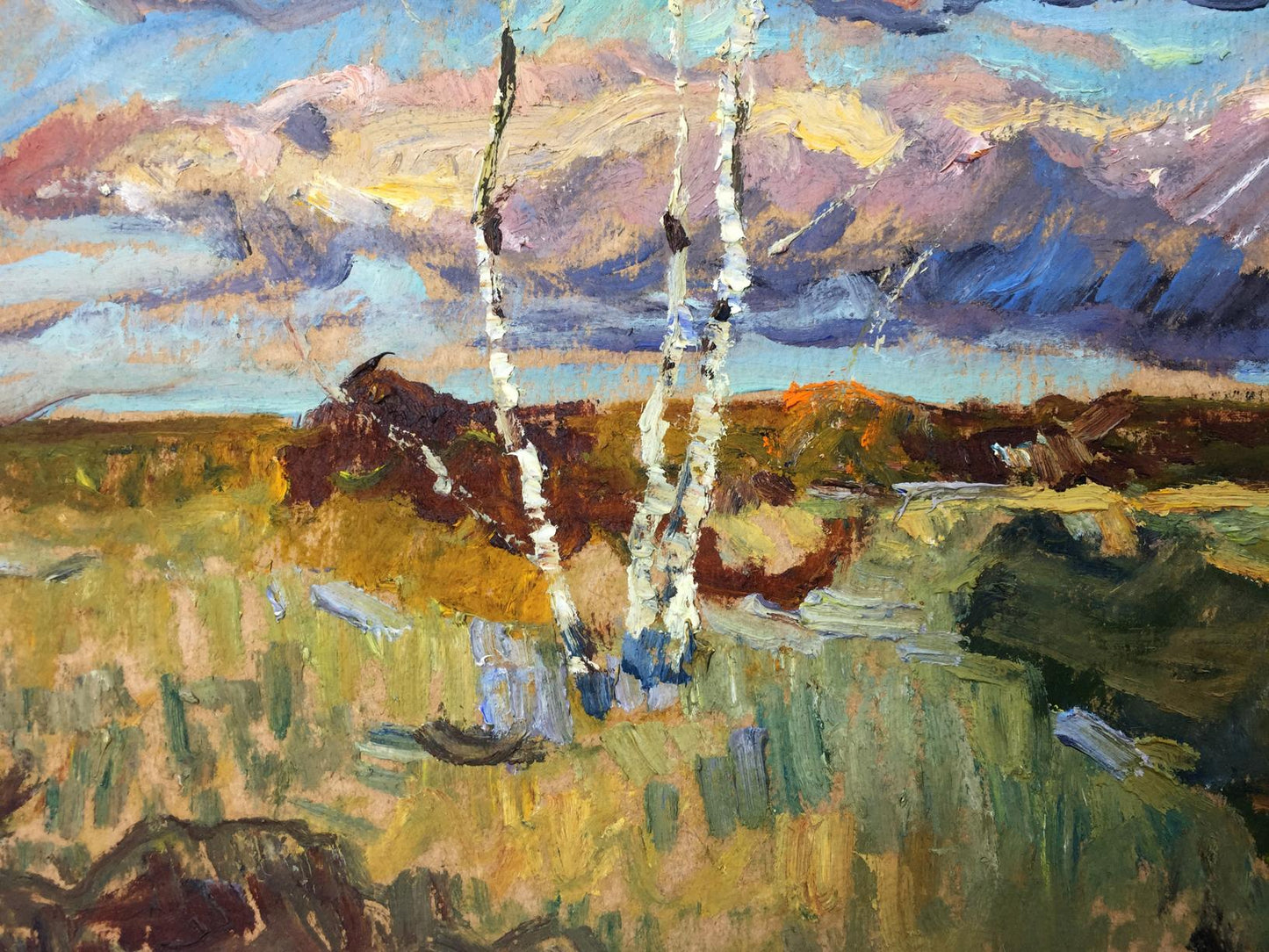 Vibrant impressionistic oil painting of birch trees in meadows by Sevastyanov Viktor Grigoryevich