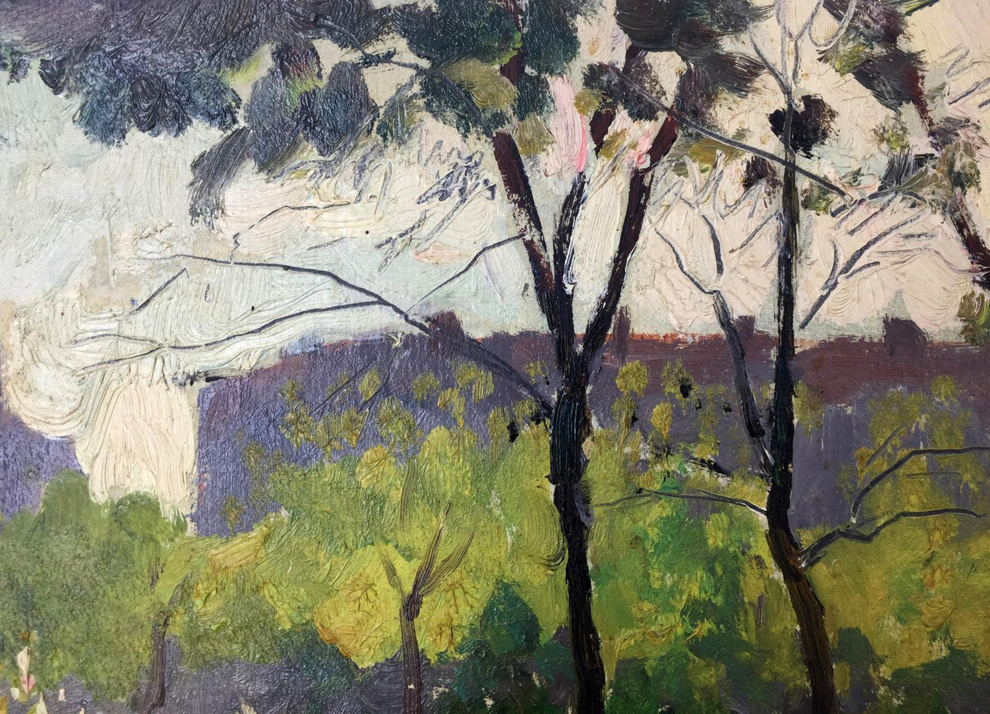 Oil painting City Park by Evgeny Nikolaevich Tkachenko, impressionist trees