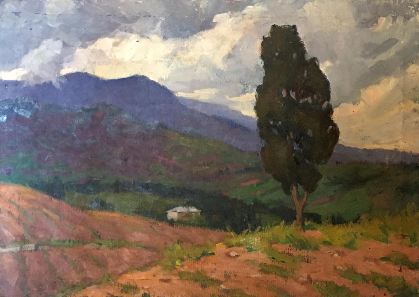 Oil painting of tall dark green tree in forest plain by Khrustalenko Nikolay Aleksandrovich