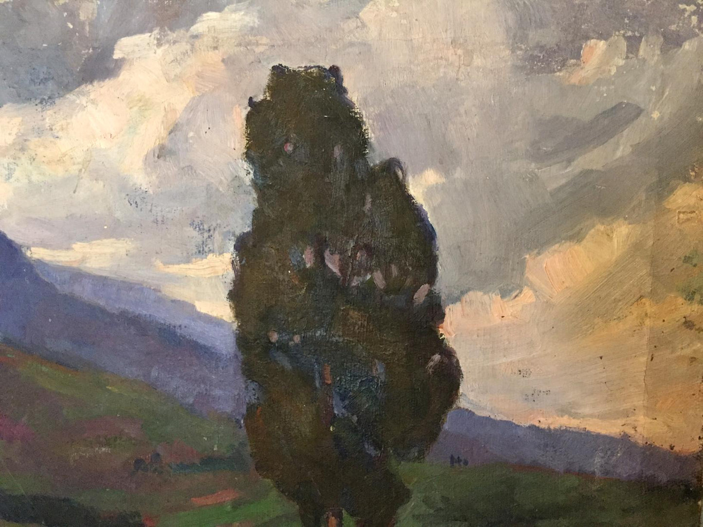 Oil painting of tall dark green tree by Khrustalenko Nikolay Aleksandrovich