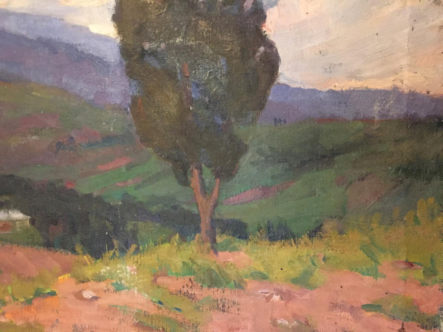 Oil painting of solitary tree in sunlit forest by Khrustalenko Nikolay Aleksandrovich