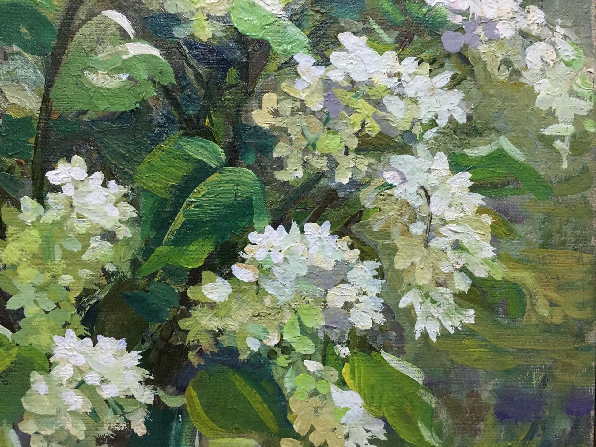 Oil painting Flowers Zorya by Galina Denisovna, textured white blossoms
