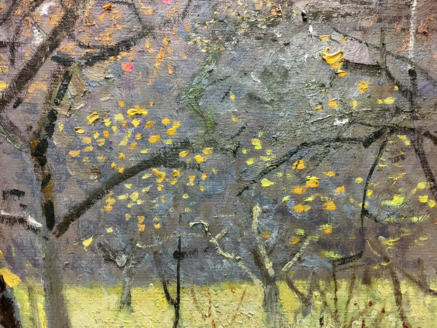 Oil painting Beautiful forest Zaretsky Victor Ivanovich