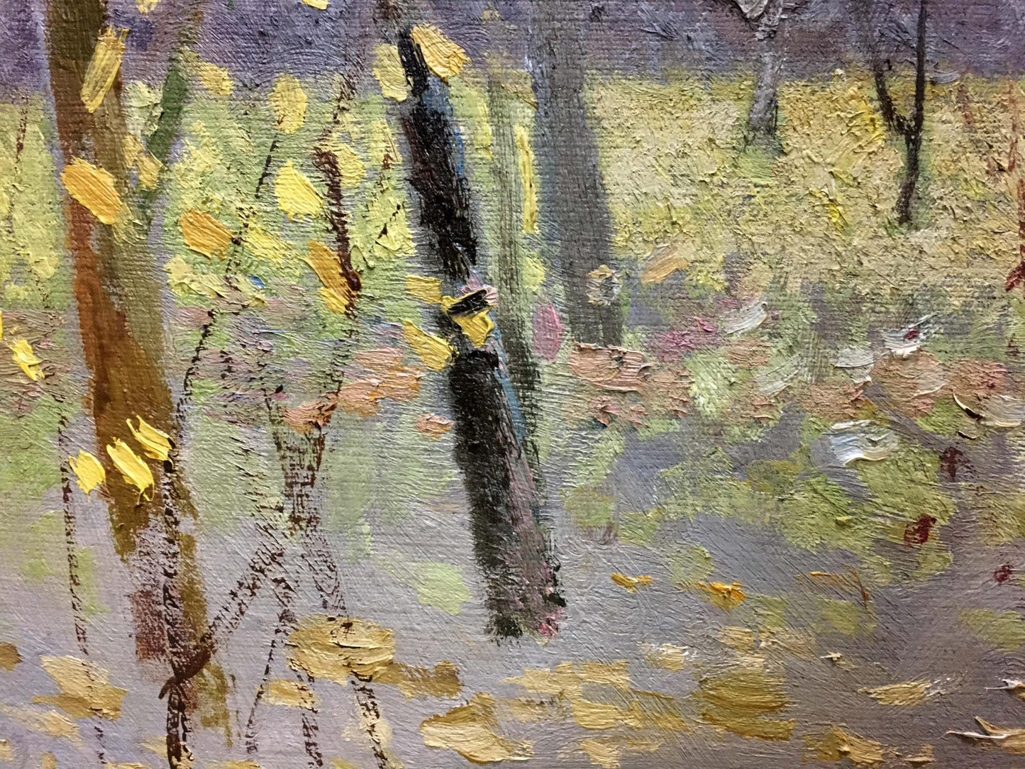 Oil painting Beautiful forest by Zaretsky Victor Ivanovich