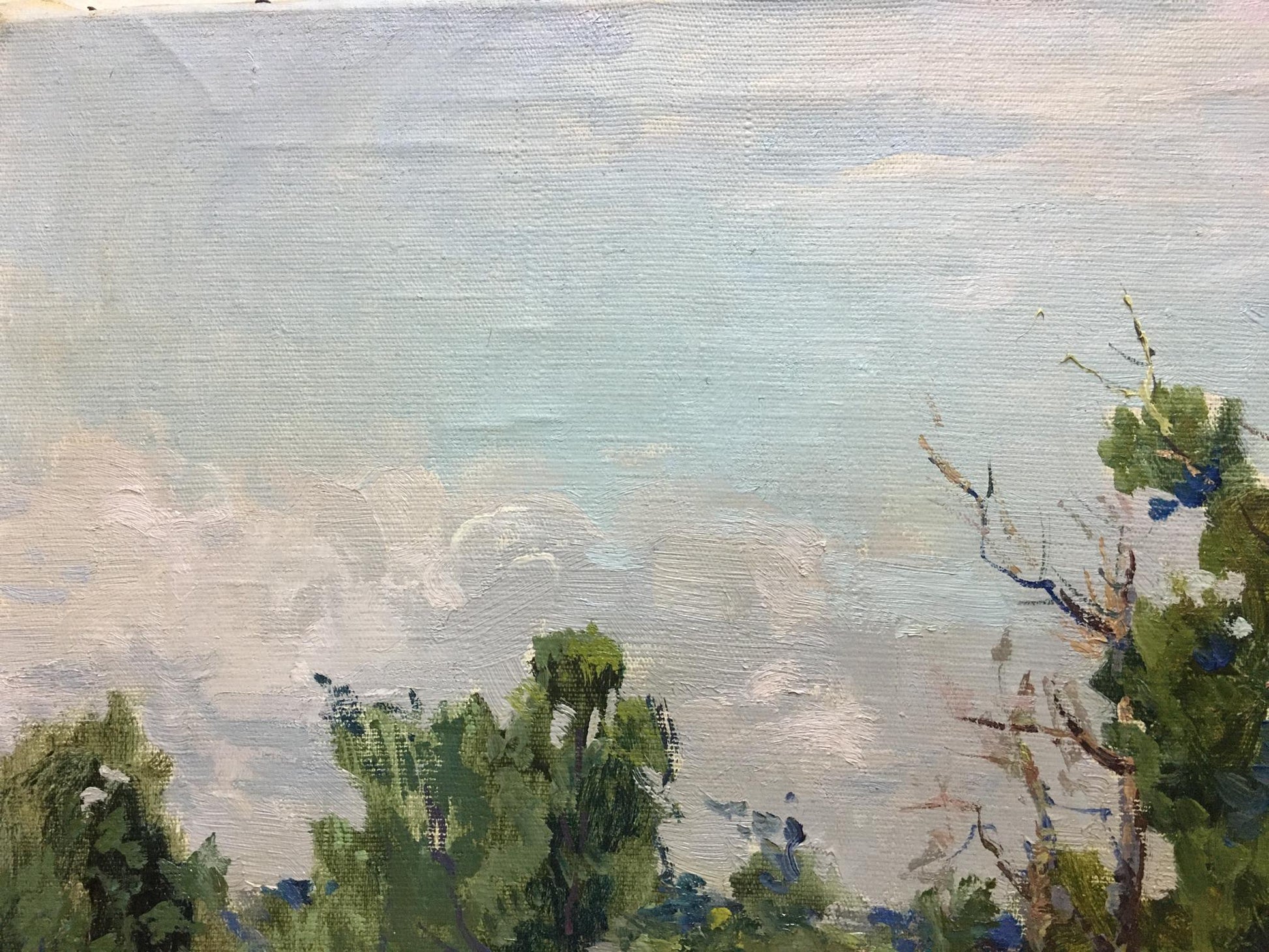 Oil painting by Glushchenko Nikolay Petrovich: impressionistic sky over green foliage